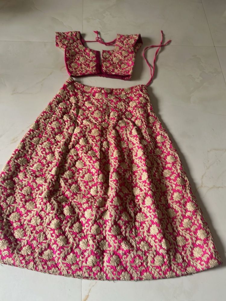 Pink Embroidered Lehenga Choli