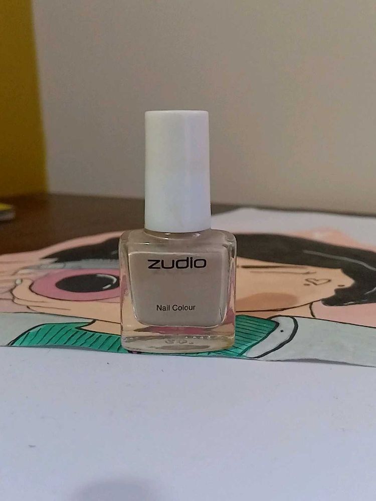Zudio Nailpaint