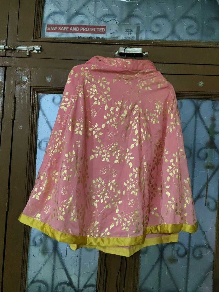 Pink &amp; Gold Ethnic skirt croptop