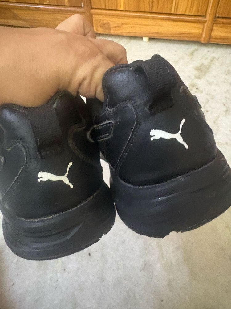 Male Puma Sneakers