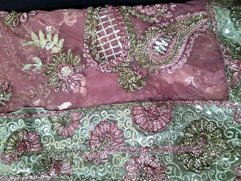 Beautiful Soft Net Saree