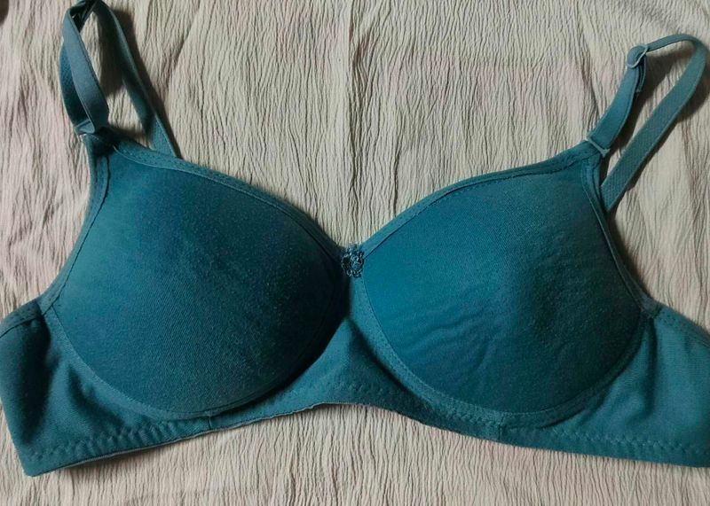 Pre-loved teal blue bra (32 size)