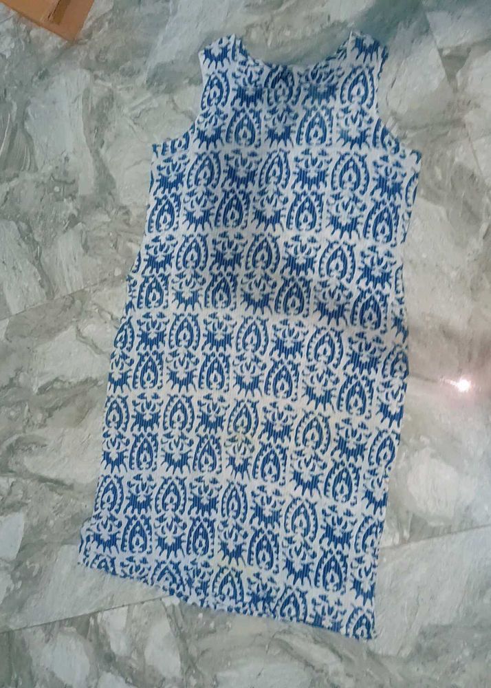 Blue &amp; White Printed Dress