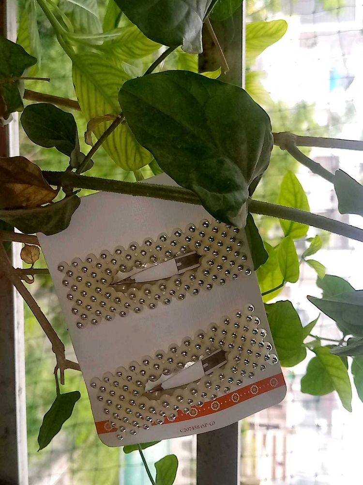 Pearl Hair Clip
