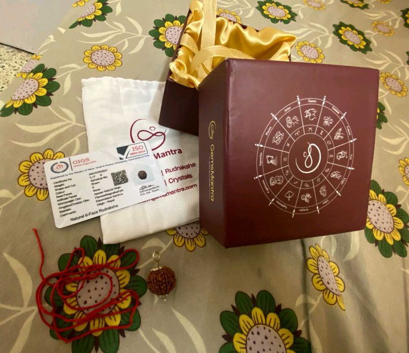 Natural 6-Face Rudraksha (छह मुखी रुद्राक्ष)