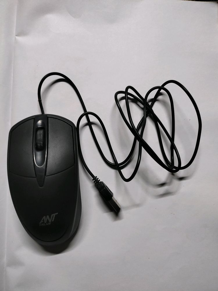 Computer Mouse