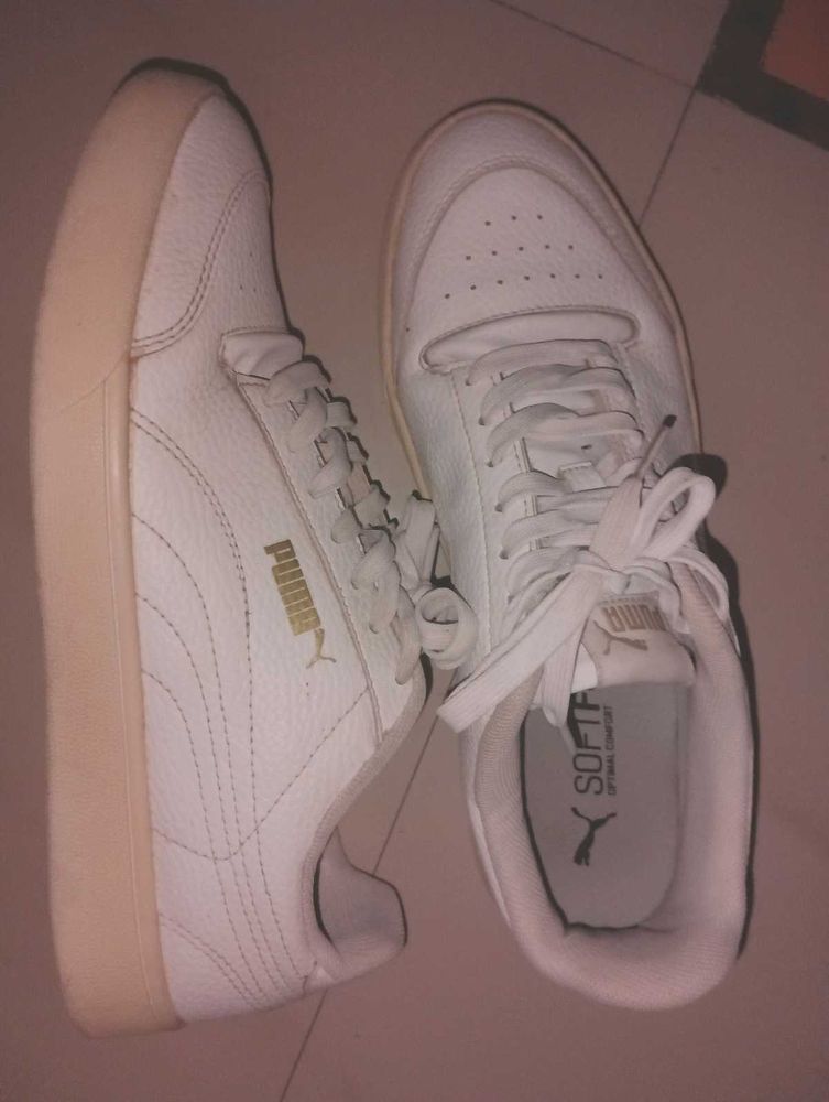 Puma White Orignal Snekar New...
