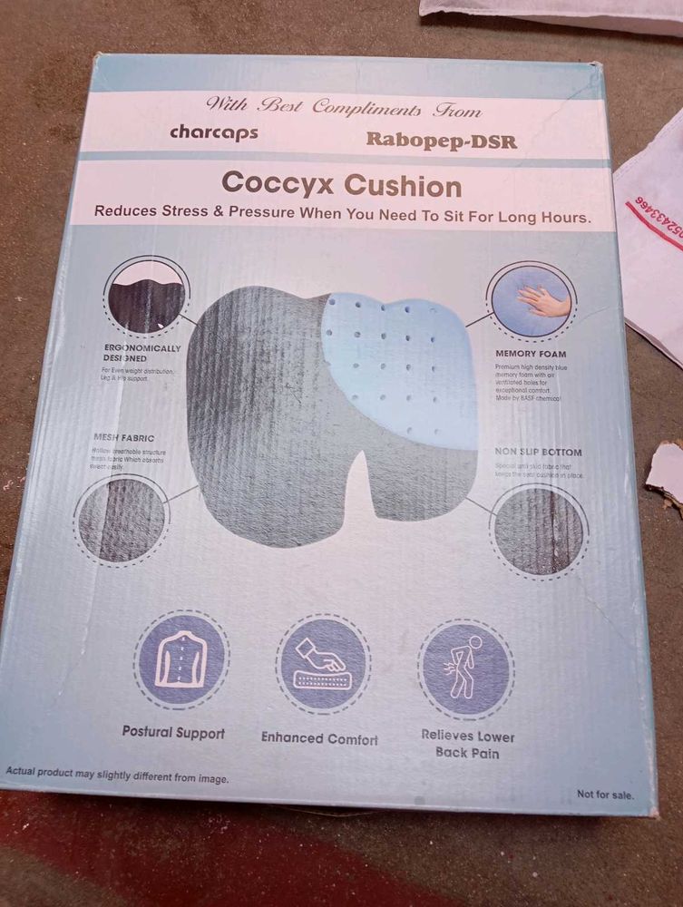 Coccyx Cushion