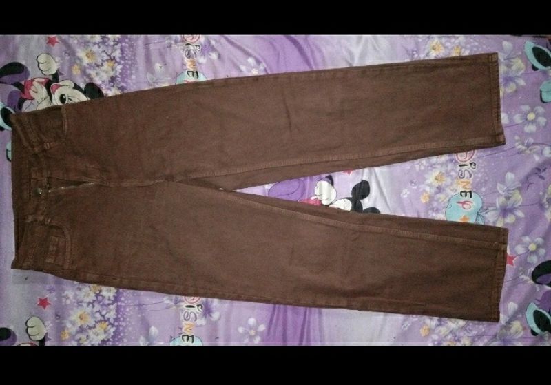 Brown Pant (Size-32)
