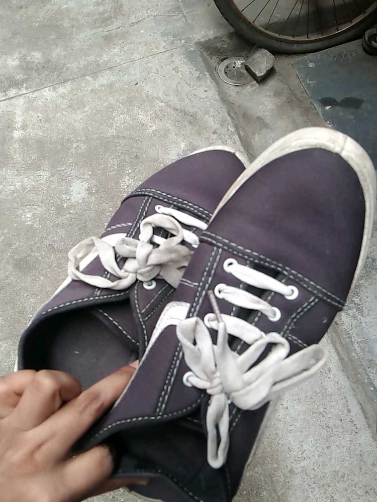 Stylish Canvas Sneakers