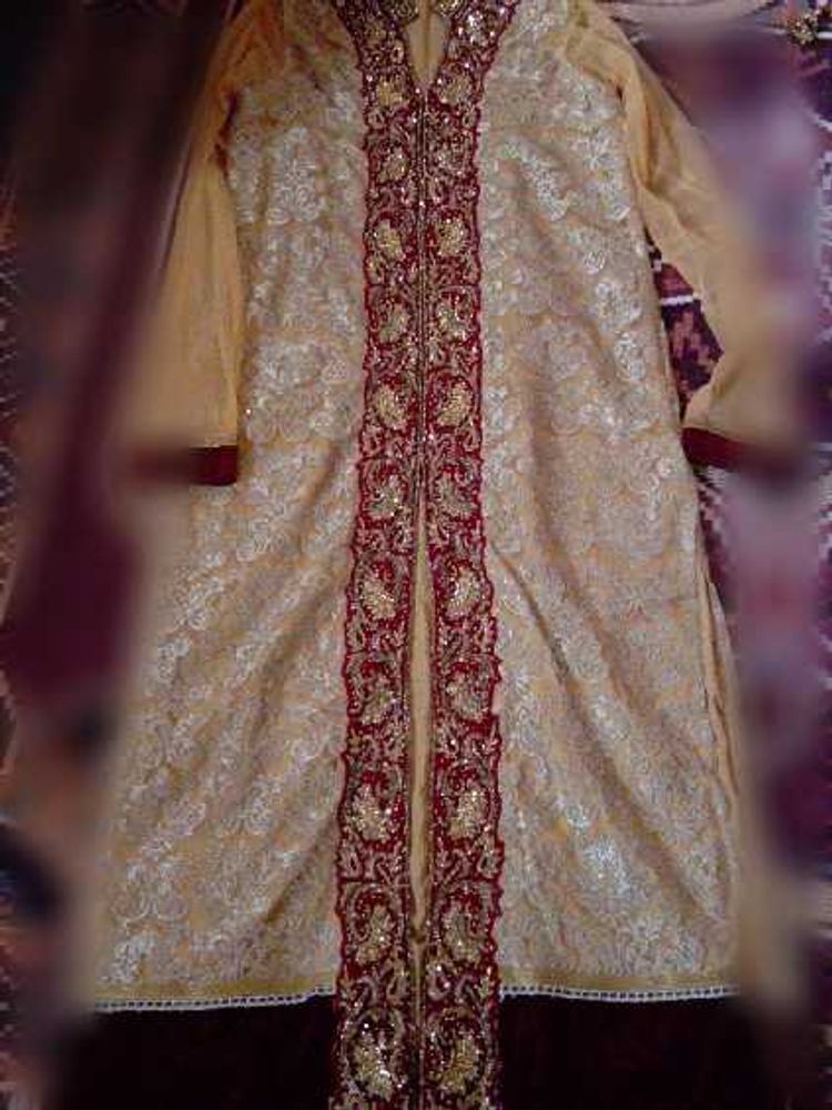 Elegant Ethnic Dress