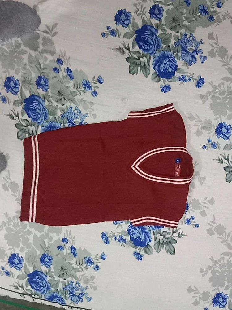 Maroon Striped Polo T-Shirt