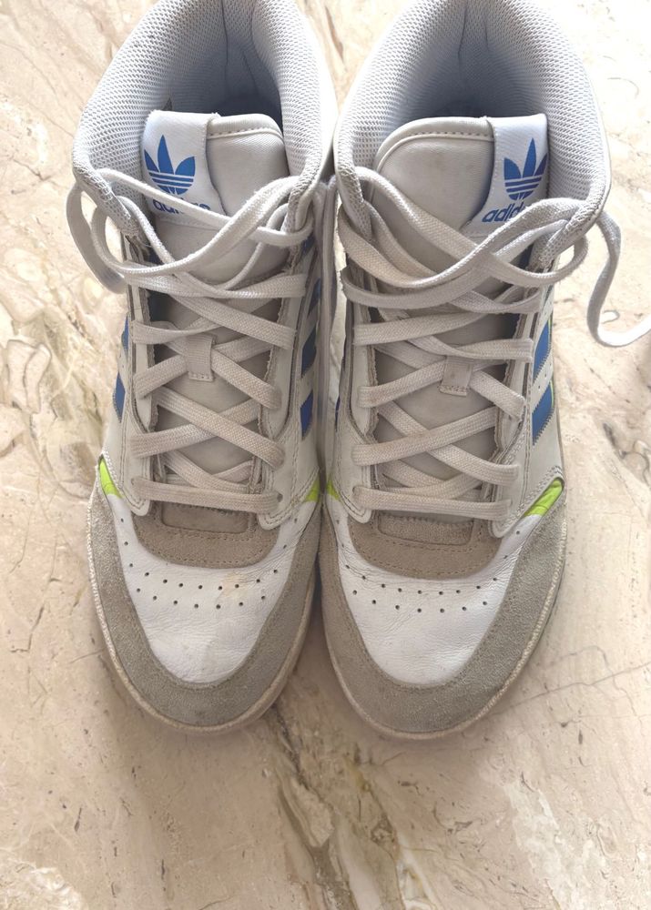 Adidas High-Top Sneakers