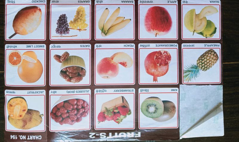 Set Of 8 Charts Stickers  Fruits,Trees, P