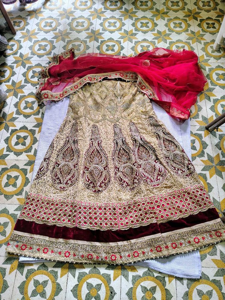 Gorgeous Lehenga Choli