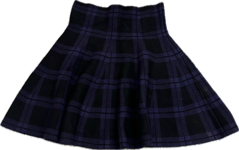 checked black and blue skirt