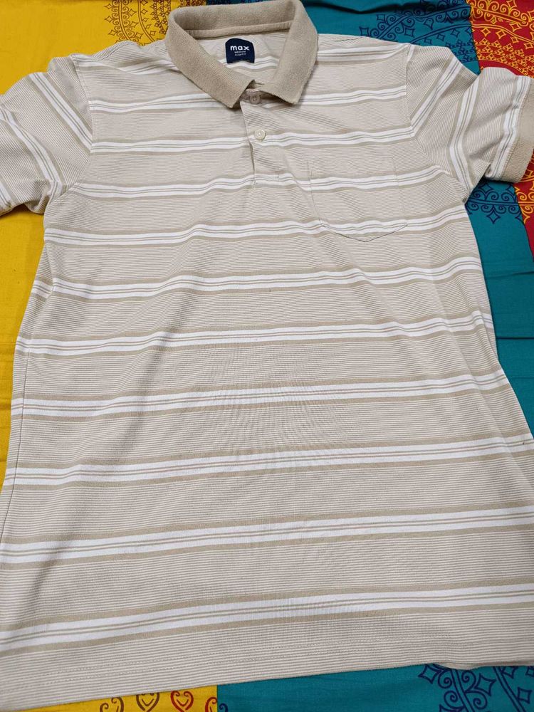 MAX Beige Striped Polo T Shirt