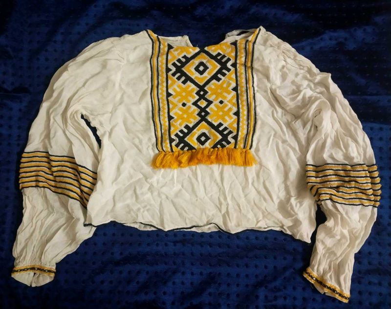ZARA Folk Boho Embroidered Tassel Cropped Top