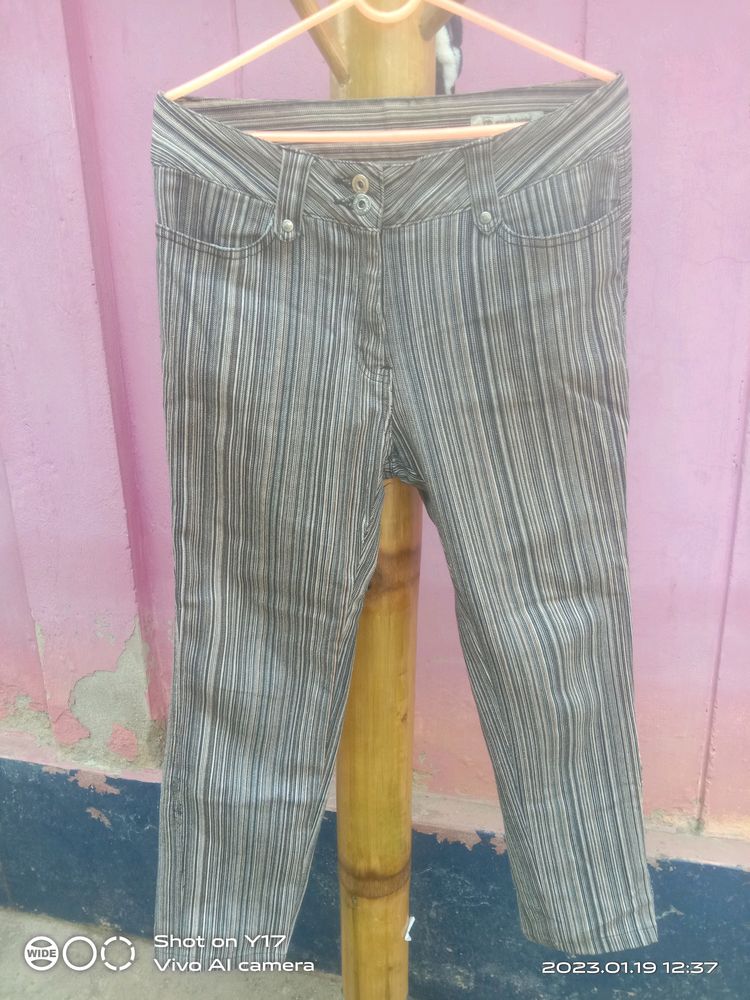 Stretchable Pant