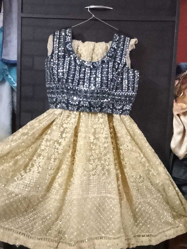 Gorgeous Lehenga Choli