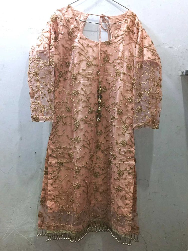 Embroidered Net Overlay Tunic
