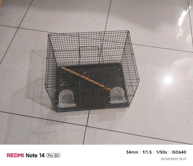 Small Bird Cage