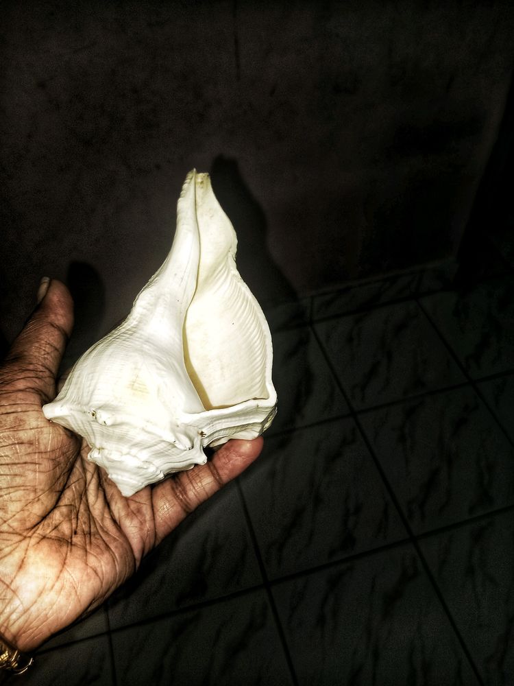 Valampuri Sangu , I Bought New So I&#39;m Selling This