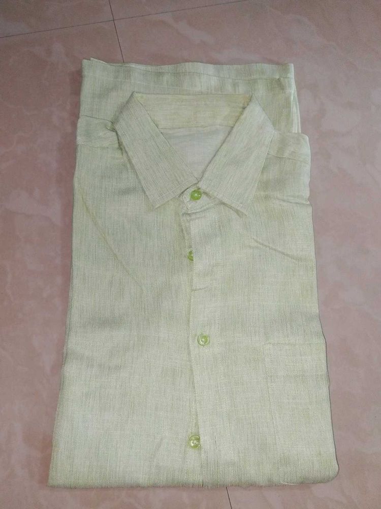 Pale Green Button-Down Shirt