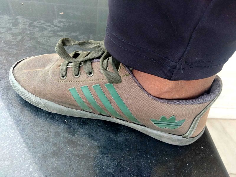 Adidas  Sneakers