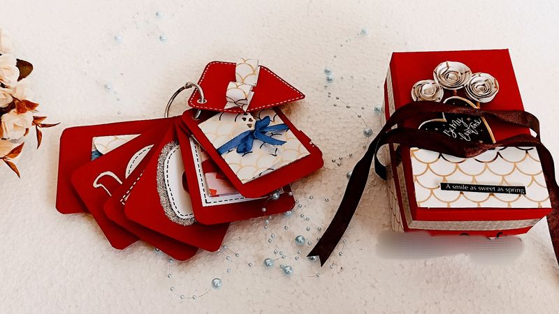 Mini Tag Album 😍 Grab This Item