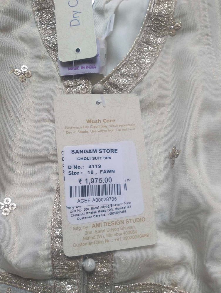Elegant Choli Suit
