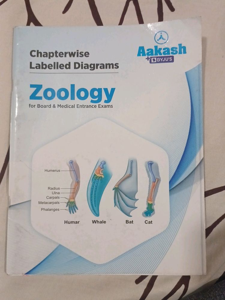 Zoology Labelled Diagrams