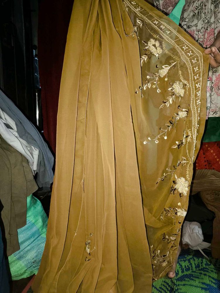 Elegant Embellished Saree