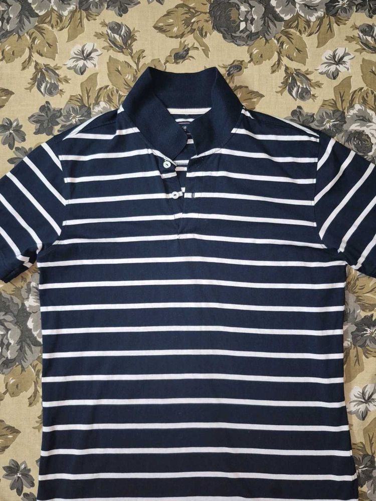 Striped Polo Shirt