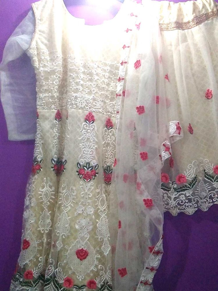 Elegant Embroidered Ethnic Gown