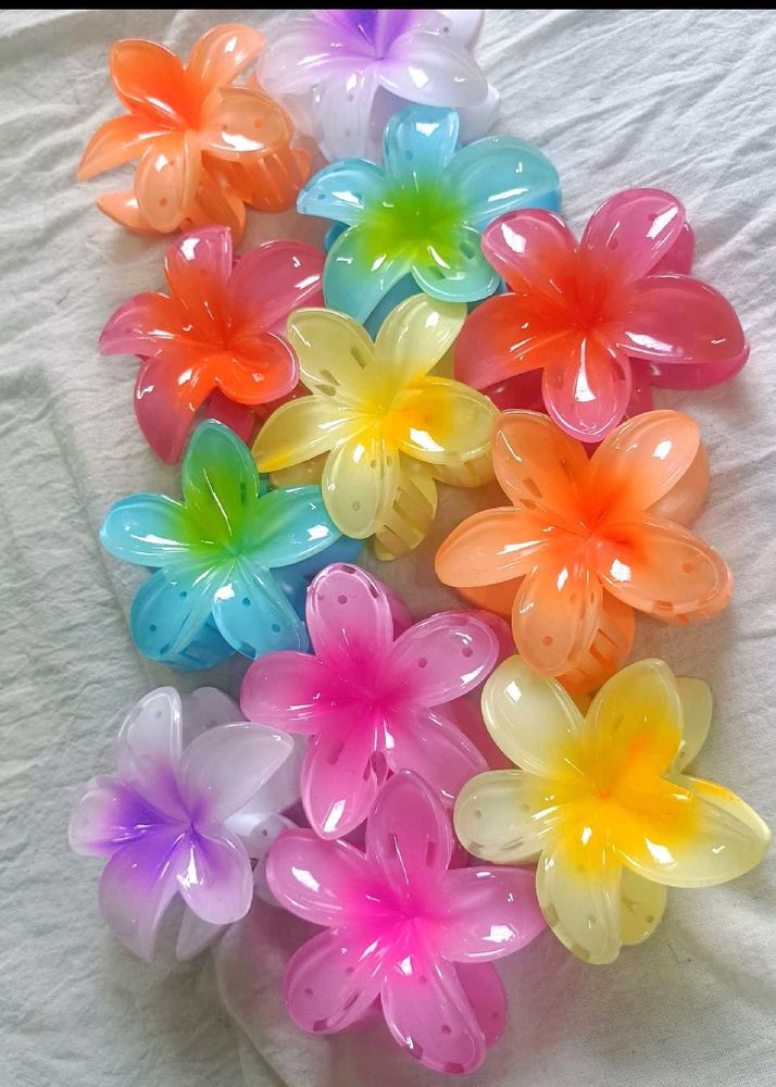 6 Pieces Of Pinteresty Hibiscus Flower Clips