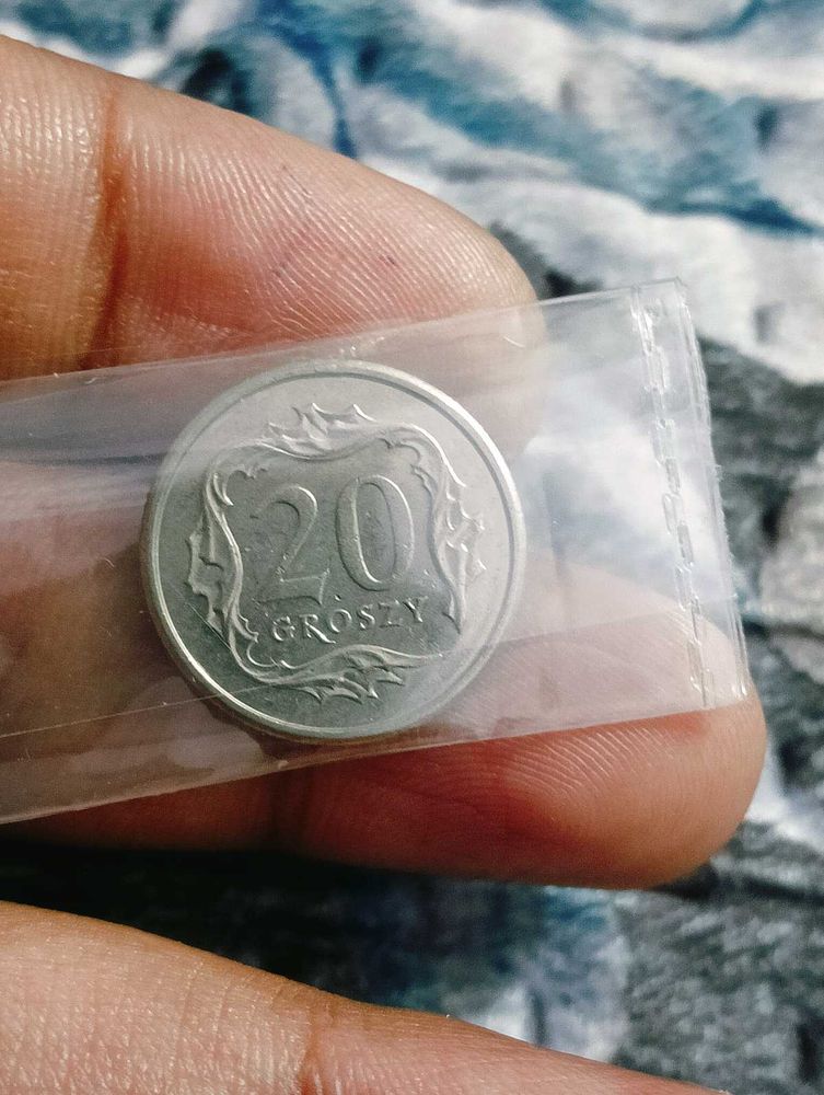 Polish 20 Groszy Coin