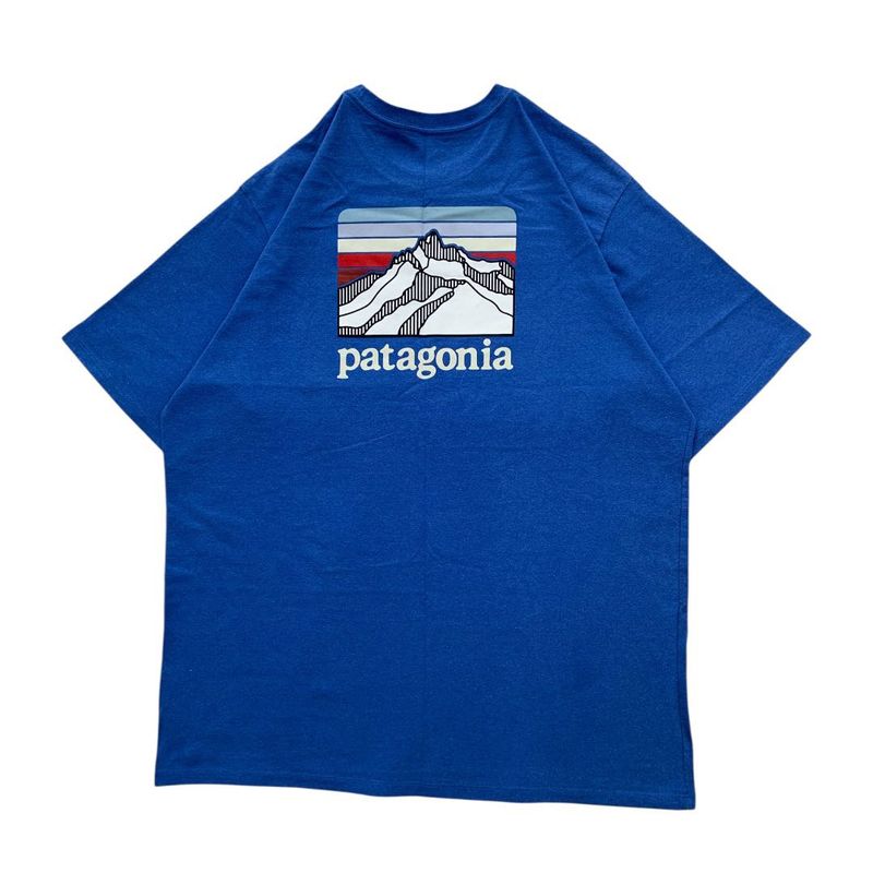 Patagonia Graphic Tee