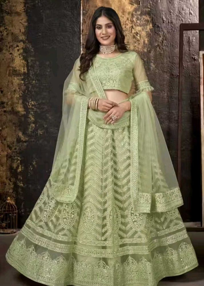 Elegant Light Green Lehenga Choli Set