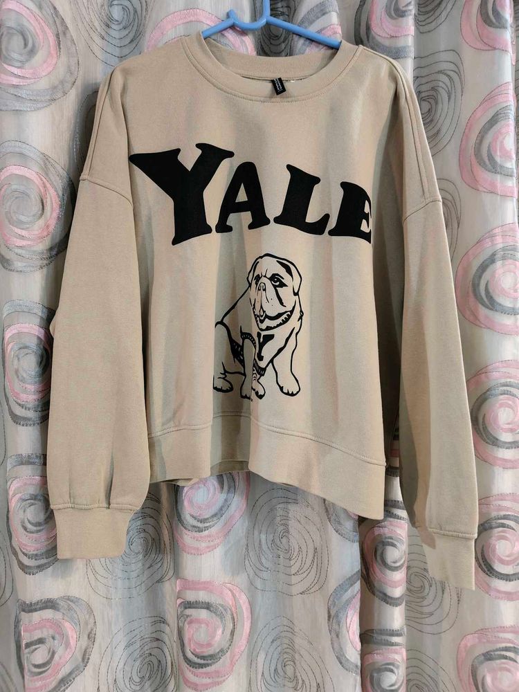 h&amp;m Yale Bulldog Sweatshirt