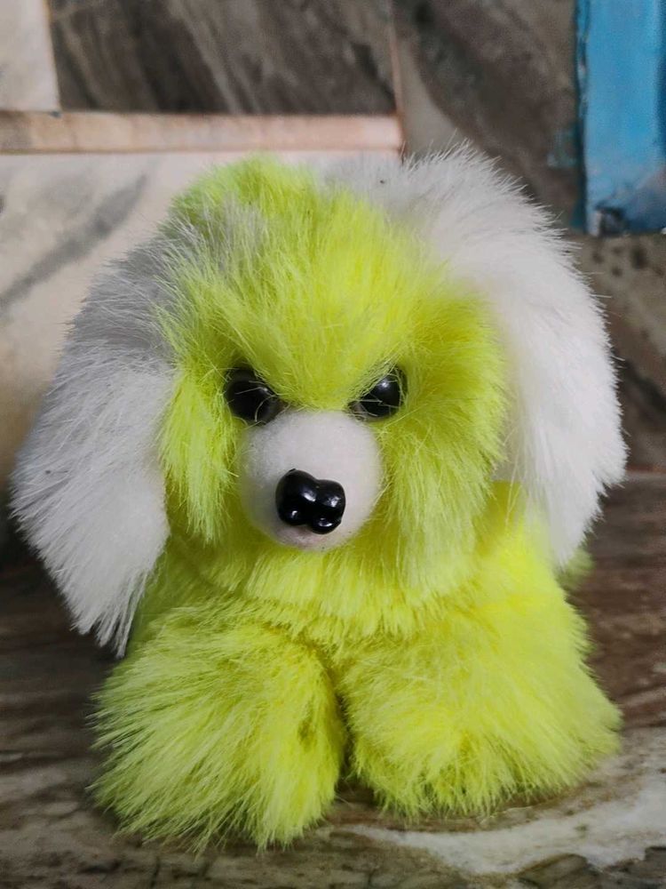 I Am Selling The Dog Teddy Bear Ready For Pick Up