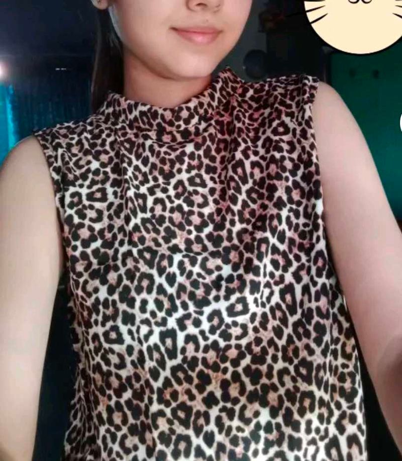 Leopard Print High Neck Top