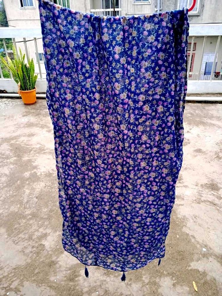 SALE - Choose Any Scarf/ Dupattas