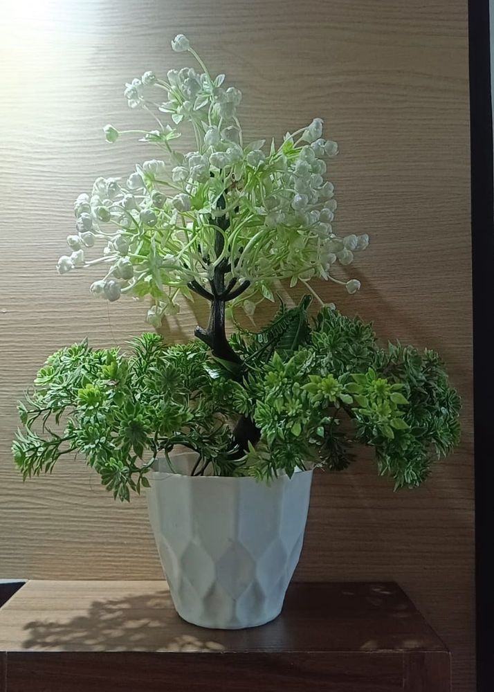 Artificial Mogra Plant Decor