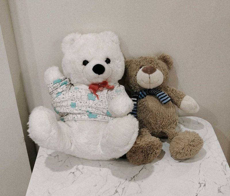 Combo Of Two Teddy&#39;s