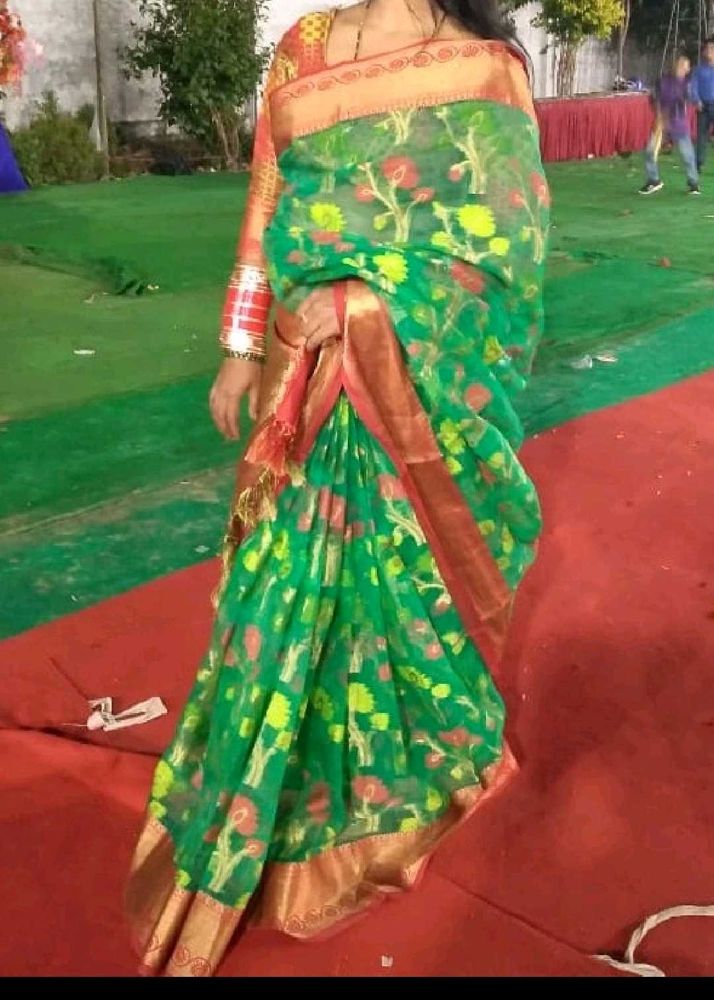 Beautiful Saari