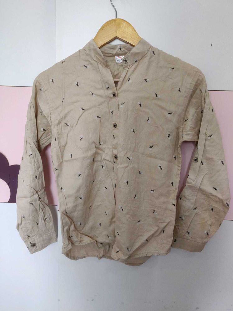Casual Brown Shirt
