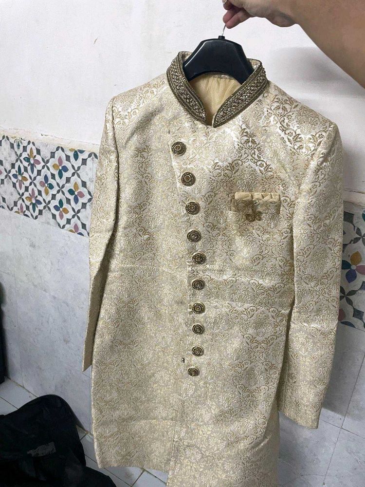Elegant Sherwani