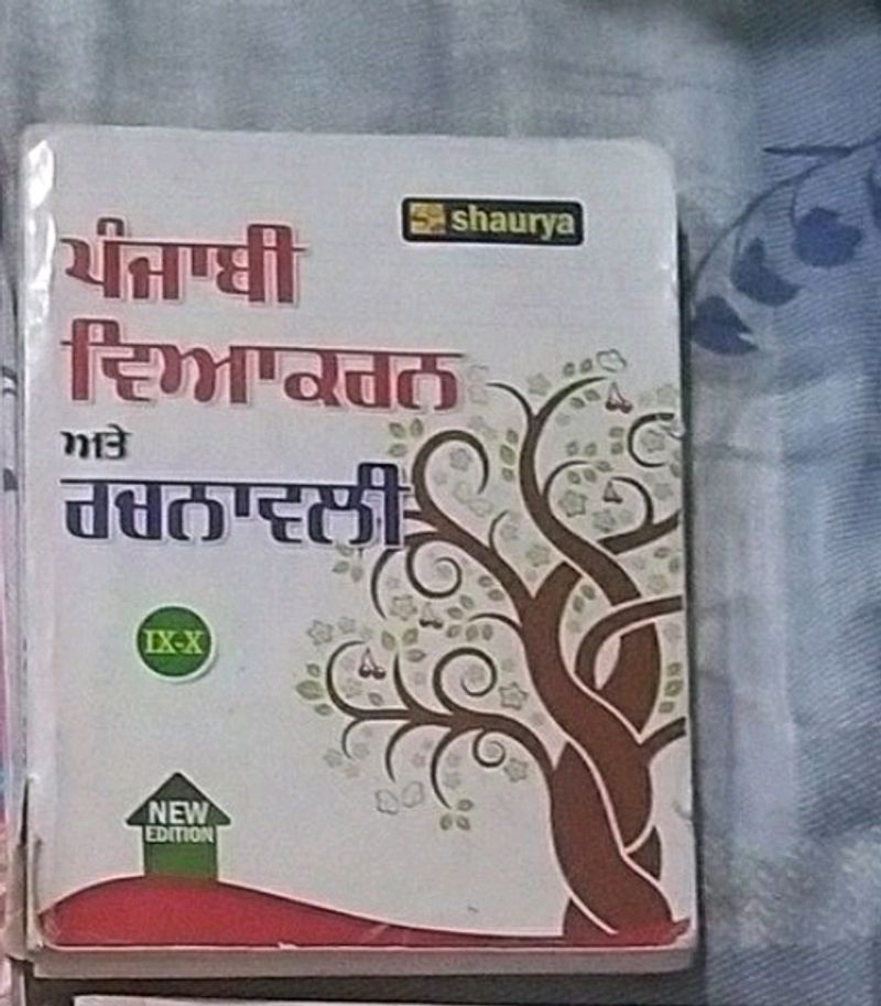 Class 10 Punjabi Book