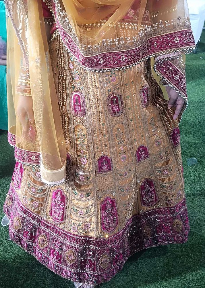 Gold Embroidered Lehenga rajwadi